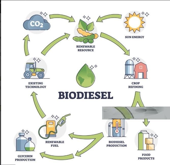 Biodiesel Market Exploring Global Size | Ag Processing, Chevron, Neste