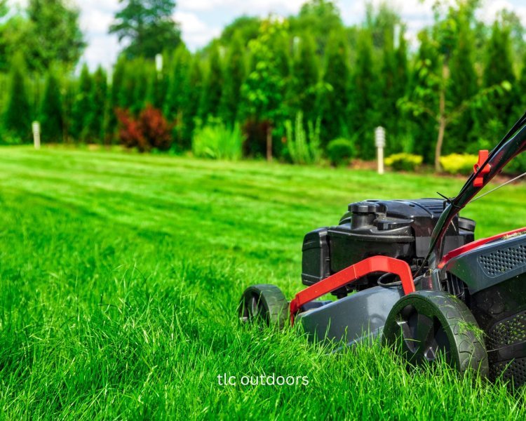 How to Take Care of Your Lawn While You’re on Vacation: Tips for a Lush and Healthy Yard