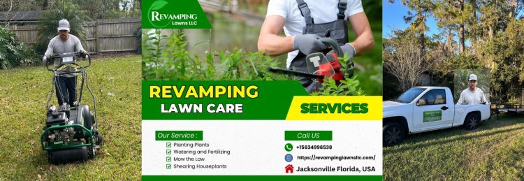 Revamping Lawns LLC: Elevating Your Jacksonville Lawn Care Experience