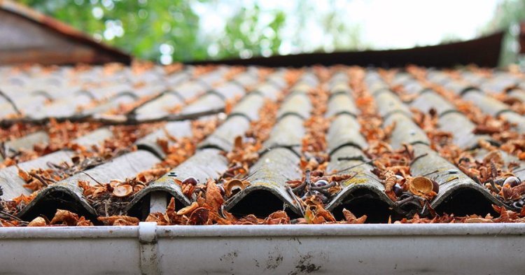 A Comprehensive Guide to Choosing the Right Gutter Protection System for Your Home