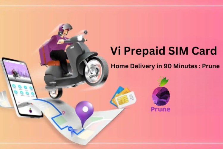 Vi Prepaid SIM Card Home Delivery in 90 Minutes : Prune