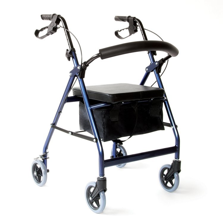 Heavy Duty Rollator Market Size, Status and Forecast 2031