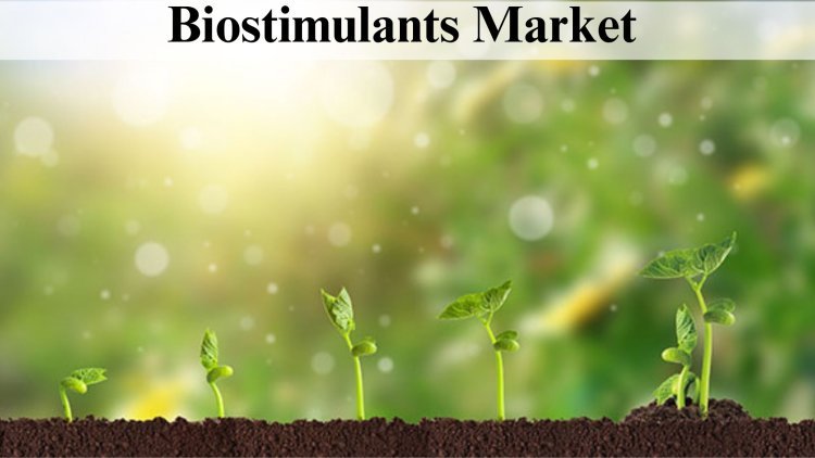 Biostimulants Market Size, Growth Analysis by 2032