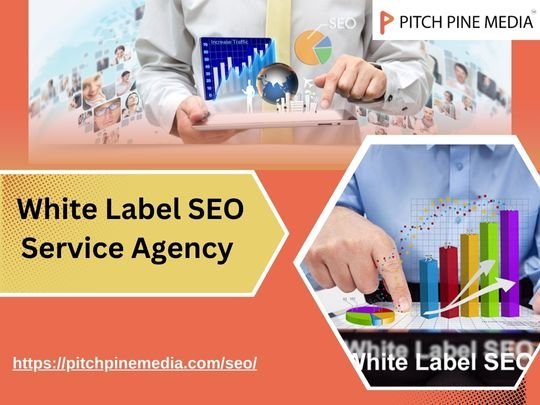 Elevate Your Digital Presence with White Label SEO Agency in India