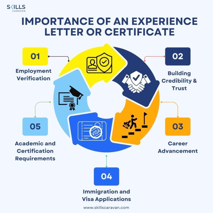 Crafting the Perfect Experience Certificate: A Comprehensive Guide