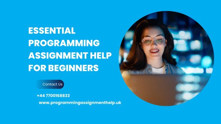 Essential Programming Assignment Help for Beginners