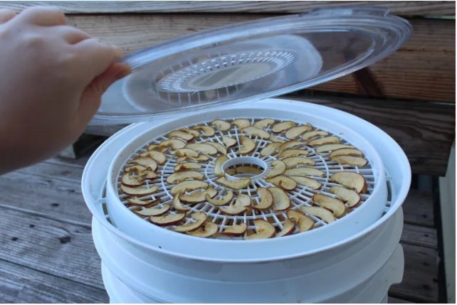 How to Dehydrate Apples: A Step-by-Step Guide