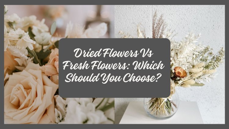 Dried Flowers Vs Fresh Flowers: Which Should You Choose?