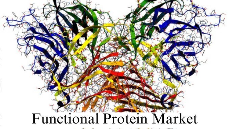 Functional Protein Market Size, Growth and Forecast to 2032