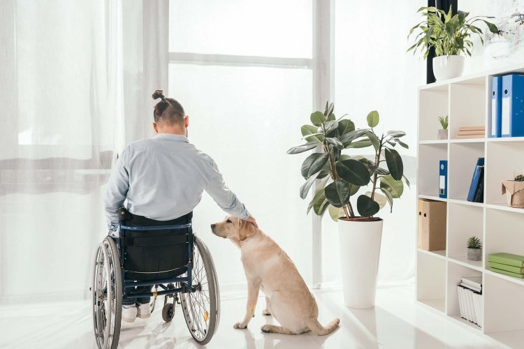 How to Choose the Right NDIS Accommodation Provider