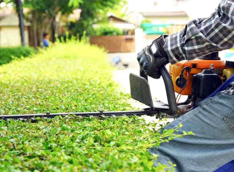 Transform Your Yard with Our Premier Hedge Trimming Services