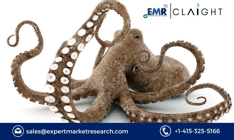 Octopus Market: An In-Depth Analysis