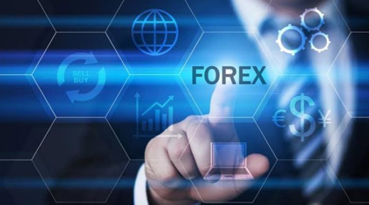 How Can You Maximize Forex Rebates By Choosing A Regulated Broker?