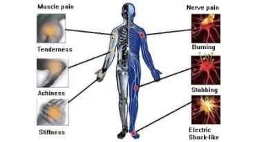 Acupuncture for Pain 
