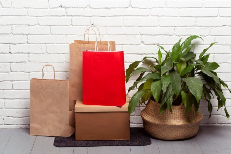 Paper Bags Eco-Friendly Style for Every Occasion