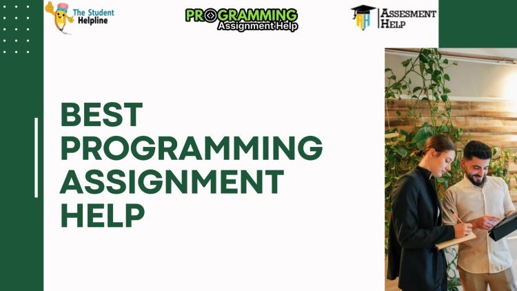 How Programming Assignment Help Can Simplify Your Coding Homework
