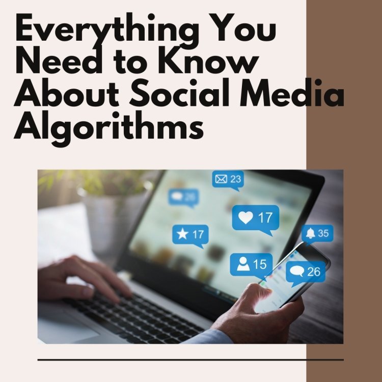 Everything you need to know about social media algorithms