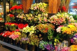 Flowers Shops:  A Comprehensive Direct