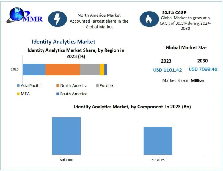 Identity Analytics Industry Analysis: Trends and Insights (2023-2030)