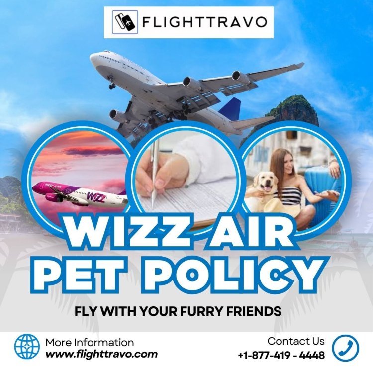 Traveling With Pets? Exploring Wizz Air Pet Policy