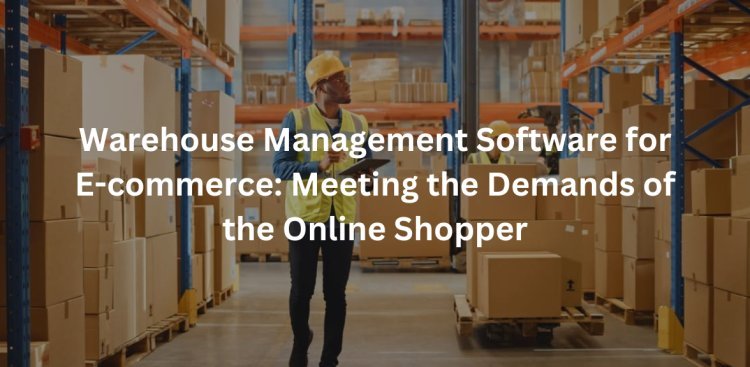 Warehouse Management Software for E-commerce: Meeting the Demands of the Online Shopper