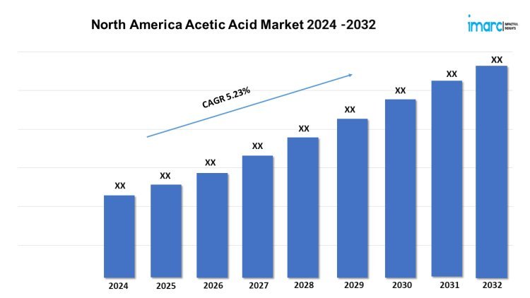 North America Acetic Acid Market to Grow at 5.23% CAGR by 2032