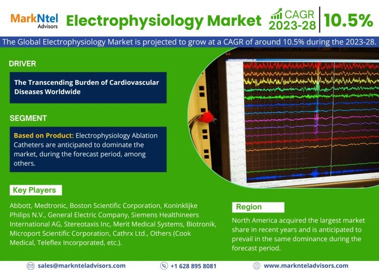 Electrophysiology Market Size, Share, Trends, Demand, Growth and Competitive Analysis 2028