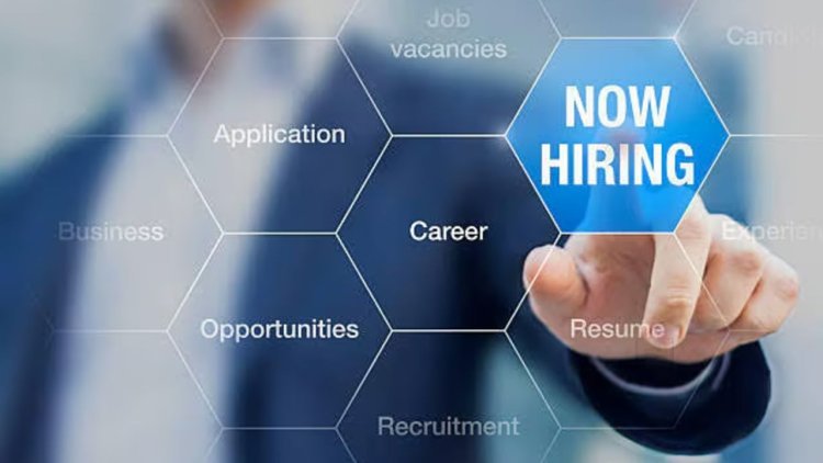 Recruitment Consultancy in India | IT Recruitment Consultancy - HireKey